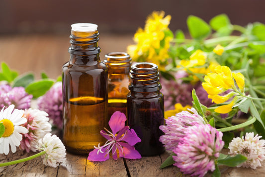 THE ESSENTIALS OF ESSENTIAL OILS